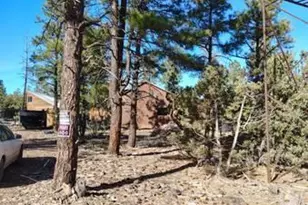 3 County Road N3302 Rd, Vernon, AZ 85940 - Photo 5