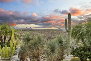 40803 N Brangus Rd, Scottsdale, AZ 85262 - Photo 53