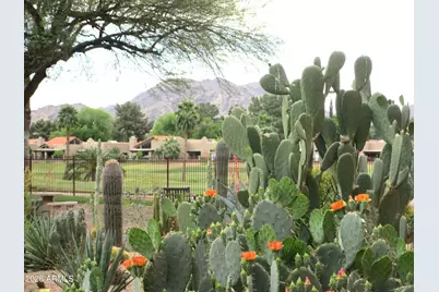 12212 N Paradise Village Parkway S #347, Phoenix, AZ 85032 - Photo 33