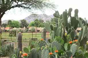 12212 N Paradise Vlg Pkwy S, Phoenix, AZ 85032 - Photo 33