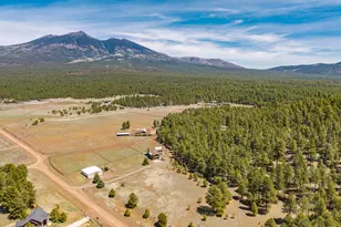 6610 N Snow Bowl Rd, Flagstaff, AZ 86001 - Photo 91
