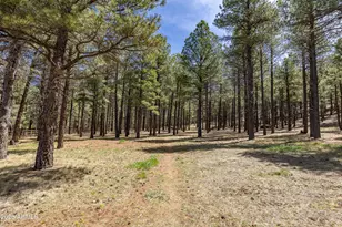6610 N Snow Bowl Rd, Flagstaff, AZ 86001 - Photo 5