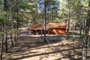 668 Mule Springs Trail, Forest Lakes, AZ 85931 - Photo 31