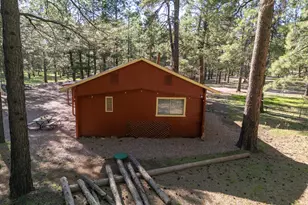 668 Mule Springs Trail, Forest Lakes, AZ 85931 - Photo 29