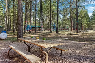 668 Mule Springs Trail, Forest Lakes, AZ 85931 - Photo 25