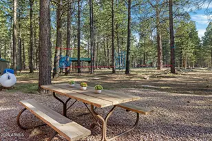 668 Mule Springs Trail, Forest Lakes, AZ 85931 - Photo 25