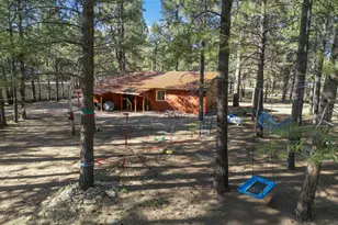 668 Mule Springs Trail, Forest Lakes, AZ 85931 - Photo 23