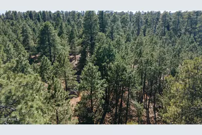 668 Mule Springs Trail, Forest Lakes, AZ 85931 - Photo 39