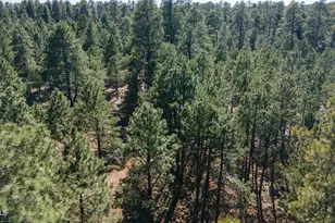 668 Mule Springs Trail, Forest Lakes, AZ 85931 - Photo 39