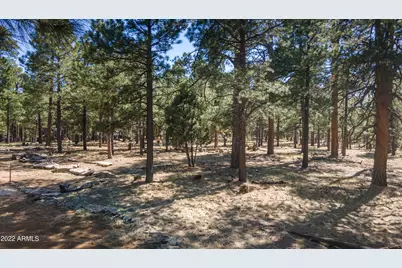 668 Mule Springs Trail, Forest Lakes, AZ 85931 - Photo 35