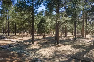 668 Mule Springs Trail, Forest Lakes, AZ 85931 - Photo 35
