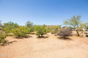 29406 N 148th St, Scottsdale, AZ 85262 - Photo 43