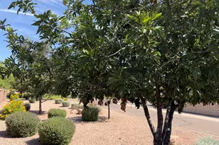 436 E Yellow Wood Ave, San Tan Valley, AZ 85140 - Photo 9