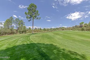 2406 E Scarlet Bugler Cir, Payson, AZ 85541 - Photo 51