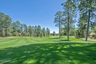 2406 E Scarlet Bugler Cir, Payson, AZ 85541 - Photo 49