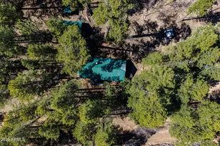 6248 Dairy Ln, Mormon Lake, AZ 86038 - Photo 37