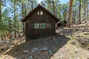6248 Dairy Ln, Mormon Lake, AZ 86038 - Photo 39