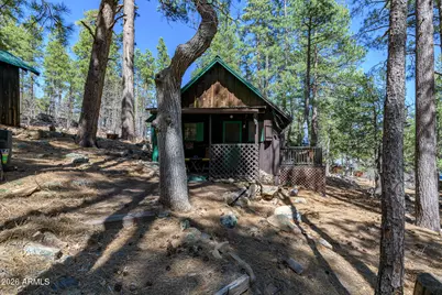 6248 Dairy Lane, Mormon Lake, AZ 86038 - Photo 3