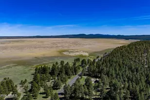 6248 Dairy Ln, Mormon Lake, AZ 86038 - Photo 29