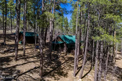 6248 Dairy Lane, Mormon Lake, AZ 86038 - Photo 25