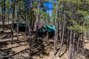 6248 Dairy Ln, Mormon Lake, AZ 86038 - Photo 25