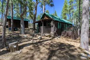 6248 Dairy Ln, Mormon Lake, AZ 86038 - Photo 41