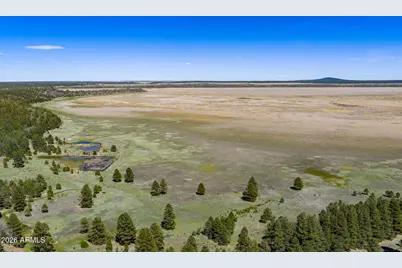 6248 Dairy Lane, Mormon Lake, AZ 86038 - Photo 45