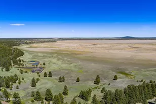 6248 Dairy Ln, Mormon Lake, AZ 86038 - Photo 45