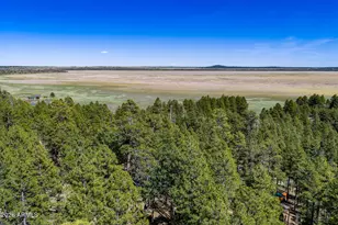 6248 Dairy Ln, Mormon Lake, AZ 86038 - Photo 27