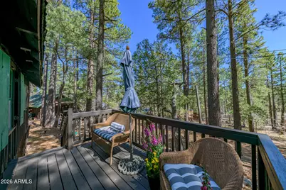 6248 Dairy Lane, Mormon Lake, AZ 86038 - Photo 23