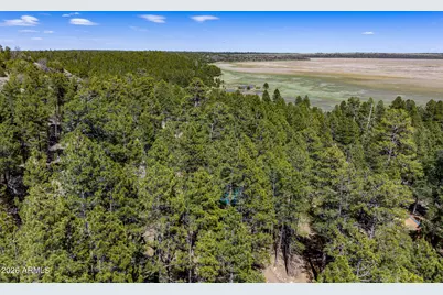 6248 Dairy Lane, Mormon Lake, AZ 86038 - Photo 43