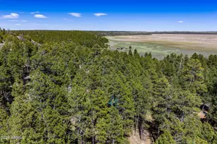 6248 Dairy Ln, Mormon Lake, AZ 86038 - Photo 43
