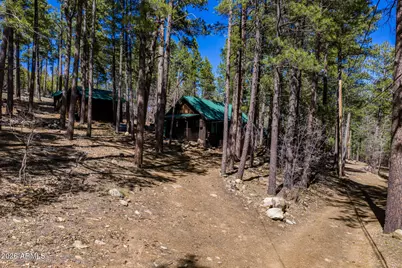6248 Dairy Lane, Mormon Lake, AZ 86038 - Photo 1