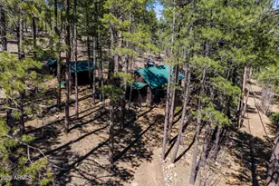 6248 Dairy Ln, Mormon Lake, AZ 86038 - Photo 33