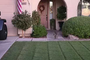 4657 E Cabrillo Dr, Gilbert, AZ 85297 - Photo 1