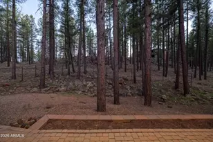2928 N Boldt Dr, Flagstaff, AZ 86001 - Photo 43
