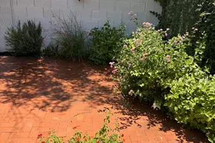 943 E Eveningstar Ln, Tempe, AZ 85283 - Photo 19