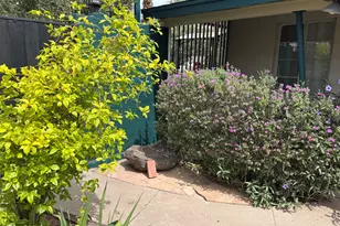 3515 N 12th St, Phoenix, AZ 85014 - Photo 47
