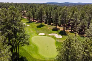 1673 Jim Simmons, Flagstaff, AZ 86005 - Photo 53