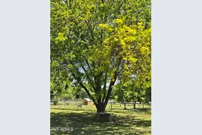 843 E Armetta Drive, Camp Verde, AZ 86322 - Photo 47