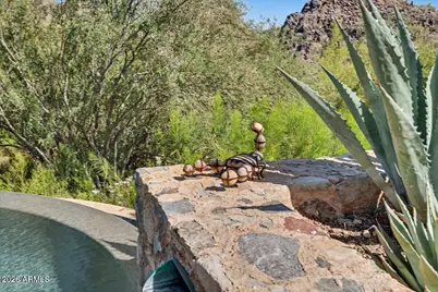 18869 N 101st Way, Scottsdale, AZ 85255 - Photo 43