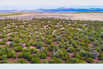 52 County Road 3198 -- #-, Vernon, AZ 85940 - Photo 11