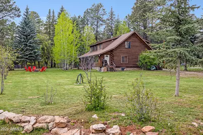 1289 Merzville Road, Forest Lakes, AZ 85931 - Photo 53