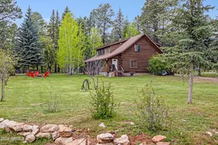 1289 Merzville Rd, Forest Lakes, AZ 85931 - Photo 53
