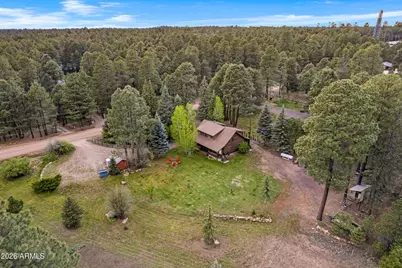 1289 Merzville Road, Forest Lakes, AZ 85931 - Photo 57