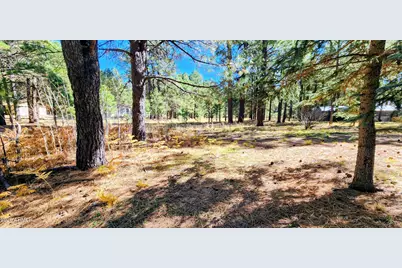 1289 Merzville Road, Forest Lakes, AZ 85931 - Photo 69