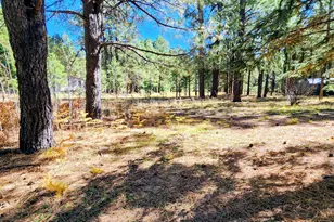 1289 Merzville Rd, Forest Lakes, AZ 85931 - Photo 69