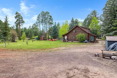 1289 Merzville Road, Forest Lakes, AZ 85931 - Photo 51
