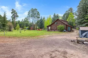 1289 Merzville Rd, Forest Lakes, AZ 85931 - Photo 51