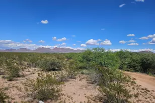 Xxxx E 27th St, Douglas, AZ 85607 - Photo 1